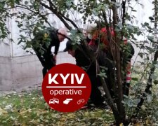 В Киеве парень свалился с шестого этажа и выжил: как кошка