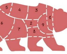 Главное за ночь: развал России и прессинг Макрона