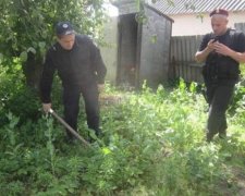 Киевские копы накрыли богемную наркоплантацию