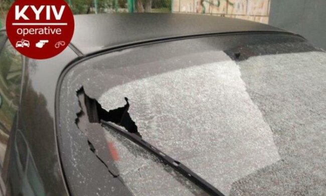 Киянина розстріляли через "оленячу" парковку, подробиці побоїща