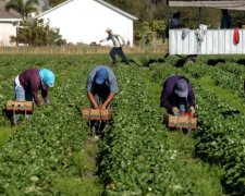 Работа в Польше: сколько получают украинские заробитчане