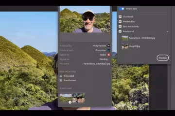 Adobe Flash Player, Adobe