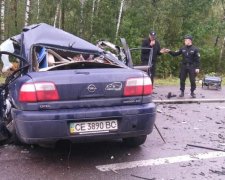 Гибель пятерых политологов в Украине: реакция ЕС