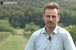Закарпатець Владислав Чопак - винороб