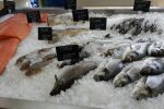 риба в супермаркеті, фото: Інформатор