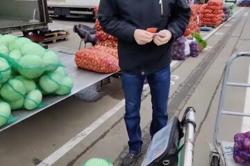 Капуста, фото: скриншот из видео