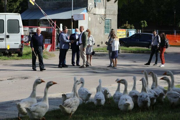 У Львові до Садового прийшло стадо гусей замість виборців