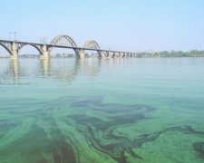 Воды Днепра принесут в Киев смертельную эпидемию  