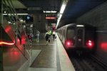 Волохатий монстр оселився в вагонах метро