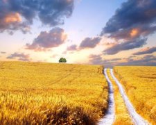 Мертві завойовники та достаток: українцям нагадали стародавнє пророцтво