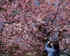 Погода на 17 квітня: в Україну підкрадається похолодання
