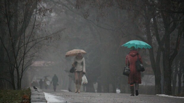 Погода на 29 ноября: потепление накроет всю Украину, но синоптик советует прихватить зонт