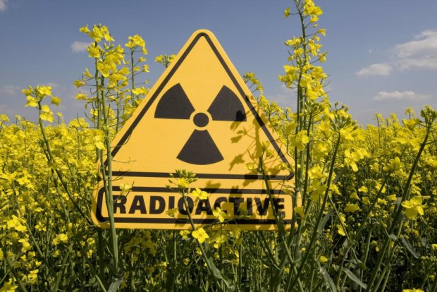 В украинском регионе известили об утечке радиации: спасатели сделали заявление