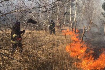 Пожежа в Чорнобильській зоні, фото: ДСНС