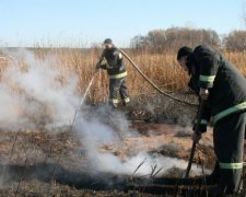 Під Києвом продовжують горіти близько 68 га торфовищ