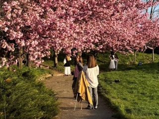 Украинцы, ботанический сад, фото из соцсетей