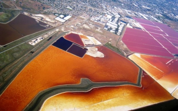 Фотограф показал красоту соляных полей с высоты птичьего полета