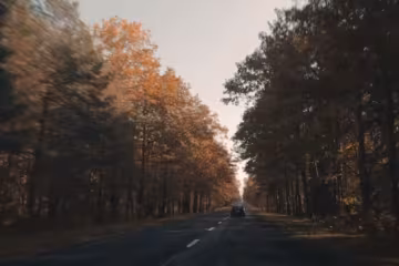 Осень, скриншот: YouTube