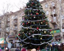 Із фільму жахів: ялинка за три мільйони шокувала українців