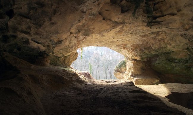 Це не ми: вчені назвали причину вимирання неандертальців