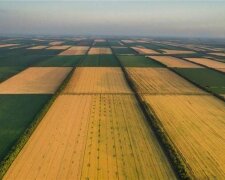Сельскохозяйственная земля на Черкасщине