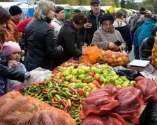 Ярмарки выходного дня составят конкуренцию супермаркетам