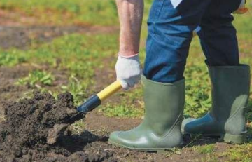 Город, изображение из свободных источников