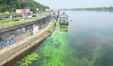 Сточные воды превратили Днепр в болото