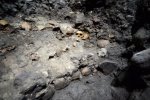 В Мексике нашли стену с человеческими черепами