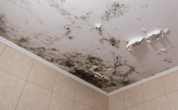 Цвіль у ванній, зображення з вільних джерел