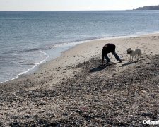 Эффектные пейзажи: в Одессе "отступило" море, обнажив красоту побережья