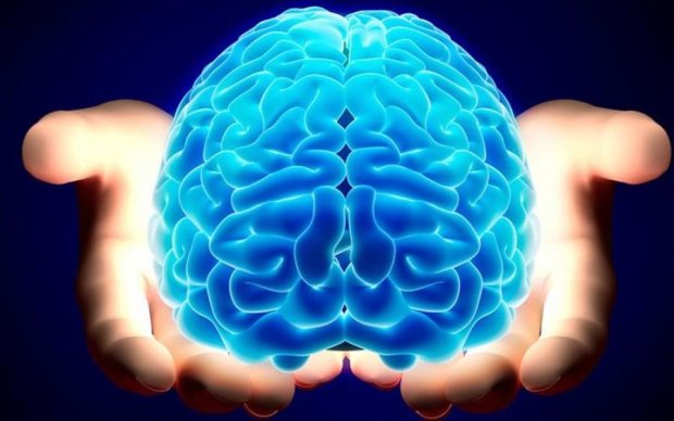 Ученые открыли новые возможности мозга