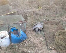 Нелегально наловили на десятки тисяч: Держекоінспекція повідомила про масштабні порушення