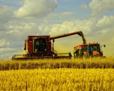 Обробкою земель Академії аграрних наук займуться китайці