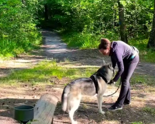 Прогулянка з собакою. Фото: скрін youtube