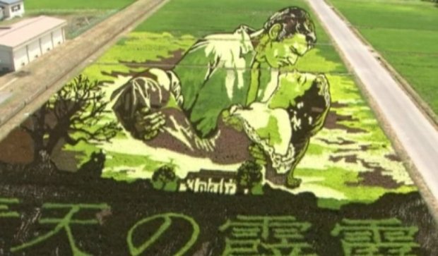 На рисовом поле в Японии создали картину "Унесенные ветром" (видео) 