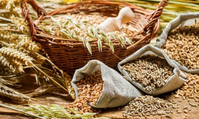 Зріс експорт українських виробів із зерна та борошна до ЄС - Павленко