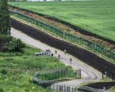 В "стене Яценюка" нашли черные дыры