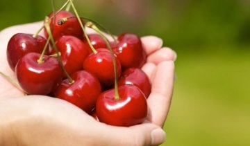 Почему от фруктов полнеют