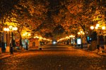 Погода на 23 вересня: в Україну прийде справжня осінь