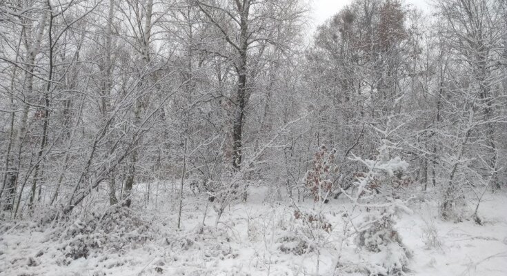 Зима, мороз - фото Знай.ua