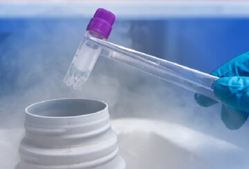 Замораживание яйцеклеток: фото из свободных источников