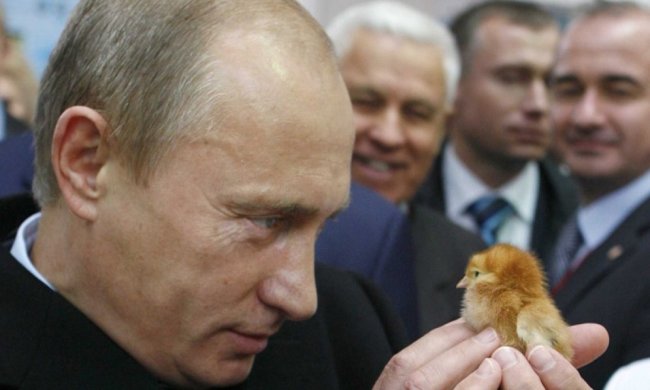 Владимир Путин