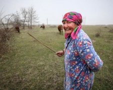 Стихия заставила Крым потрескаться
