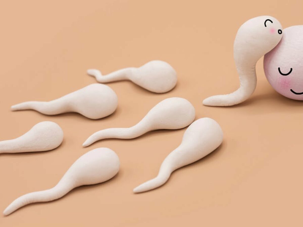 Роналдо варвар порно