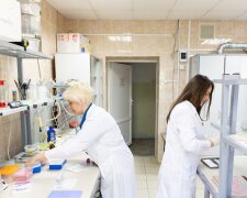 Создано универсальное средство от старости, запускают прямо в мозг: подробности революционного открытия