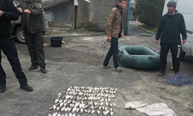 незаконный лов рыбы