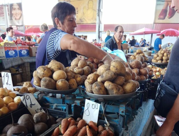 40 гривен за килограмм: цены на картофель в Украине могут стать заоблачными, прогноз экспертов