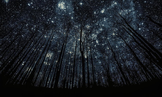 Сегодня народный праздник Агафий Полухлебник 5 февраля: что категорически нельзя делать