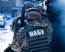 На якій підставі НАБУ проводить обшуки в "Аграрному фонді"?